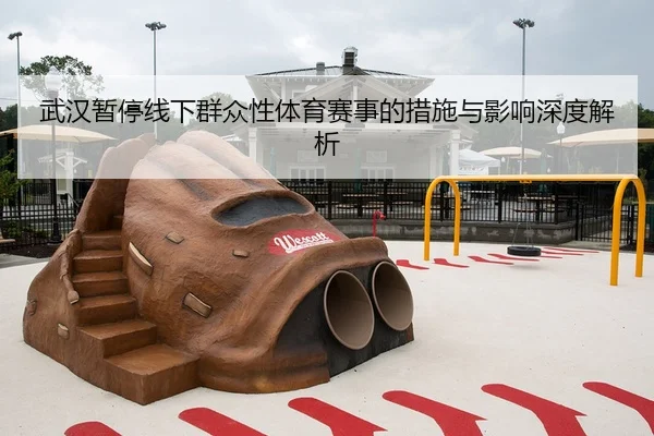 武汉暂停线下群众性体育赛事的措施与影响深度解析